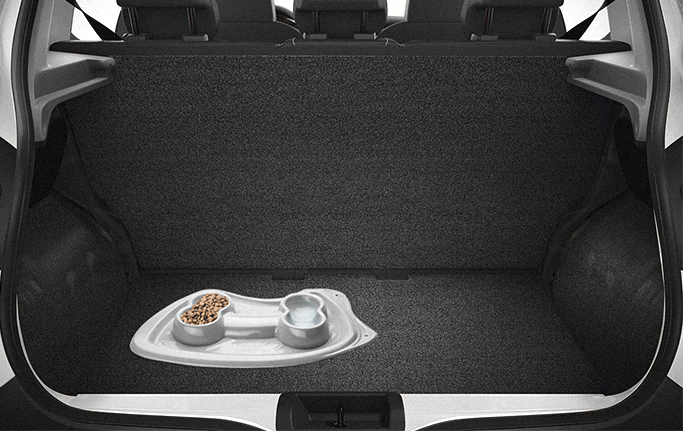 White Bone Bowl in a vehicle trunk